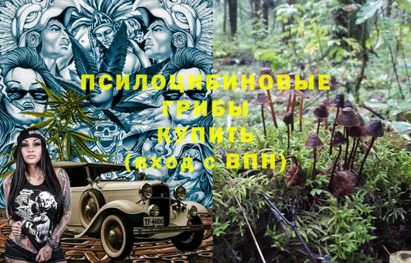 мяу мяу мука Алзамай