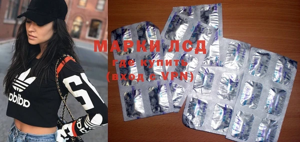 мяу мяу мука Алзамай
