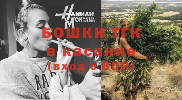 гидра Алексеевка